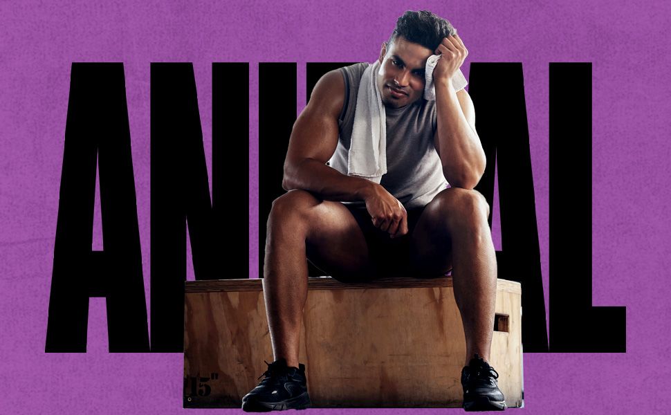 애니멀 PM 성분 이미지